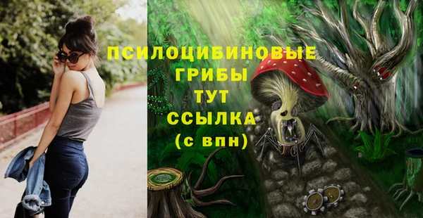 герыч Медвежьегорск