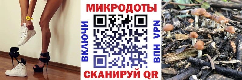 Псилоцибиновые грибы мицелий  Брюховецкая 